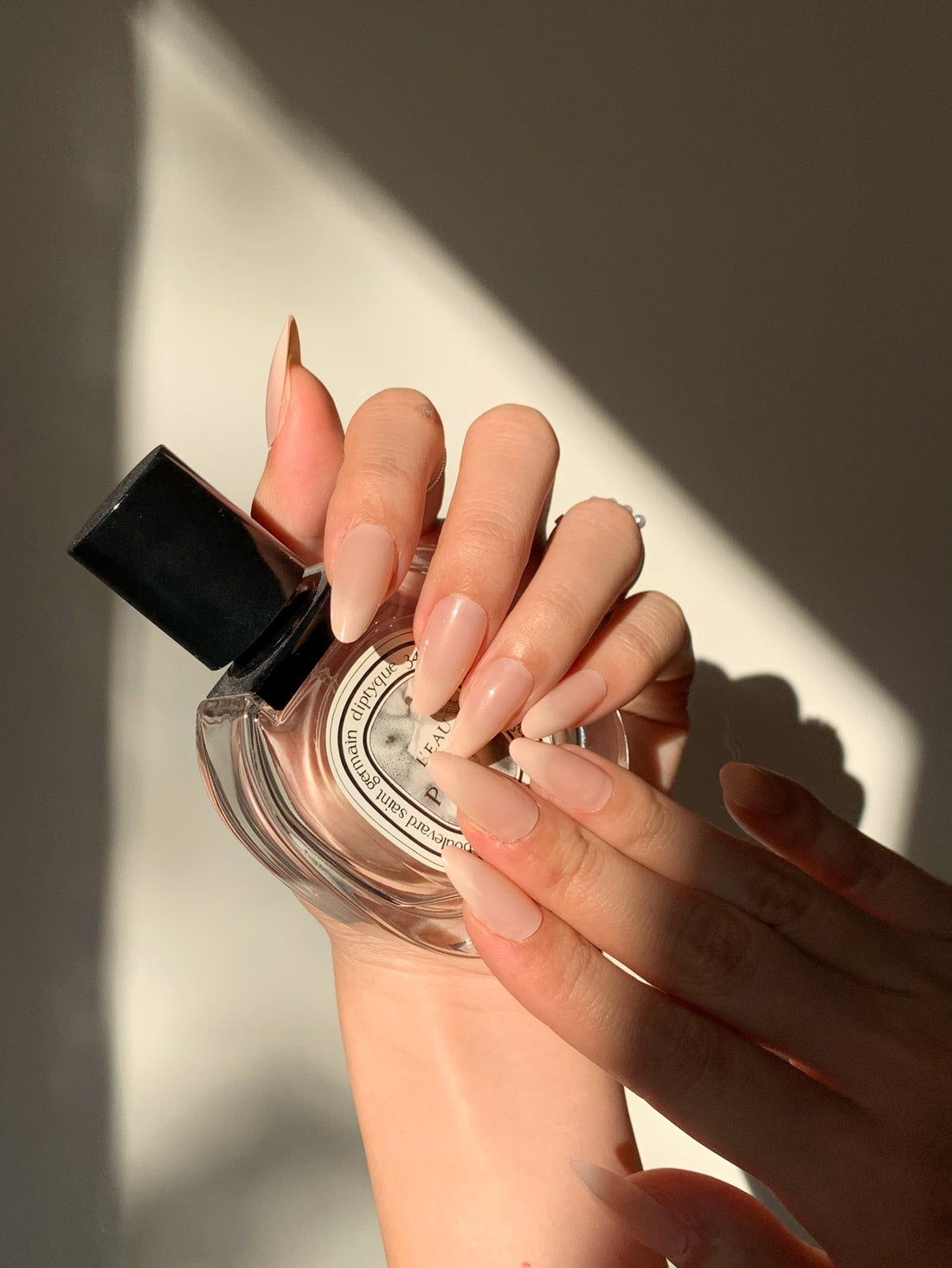 Nude French Gradient